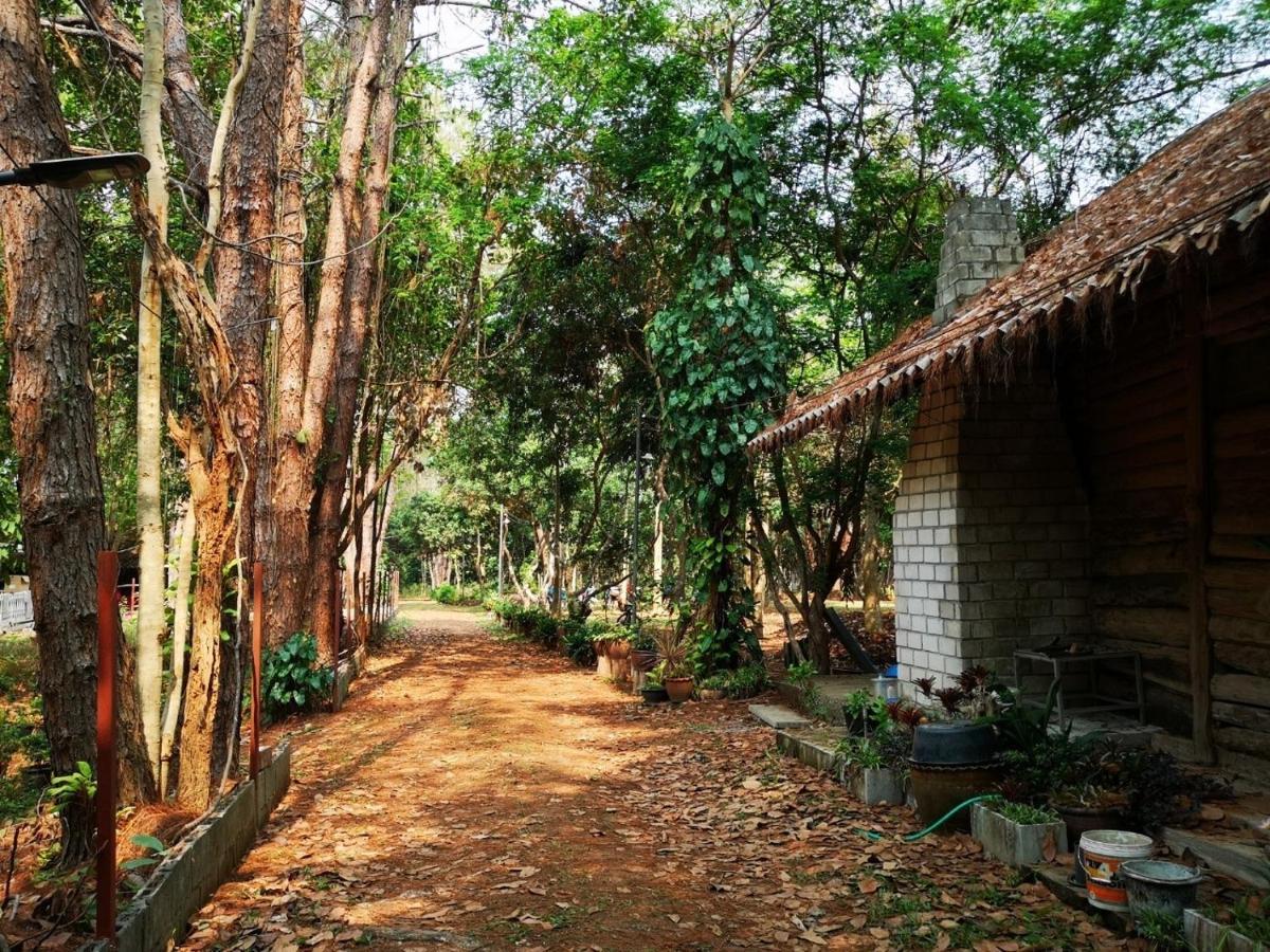 Sonseesaed Farm At Farm stay Phu Ruea