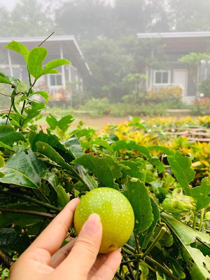 Farm stay Sonseesaed Farm At Phu Ruea