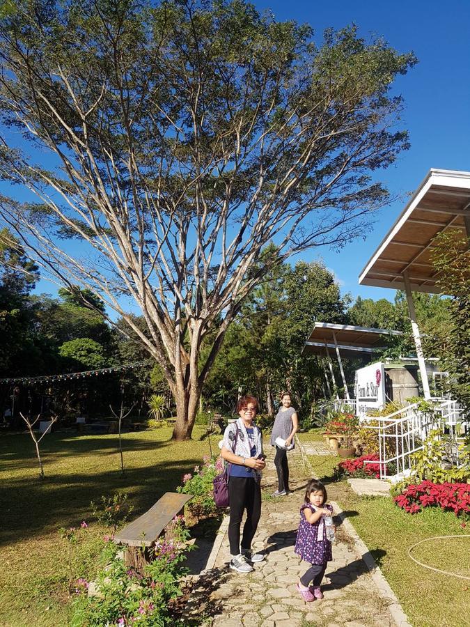 Farm stay Sonseesaed Farm At Phu Ruea
